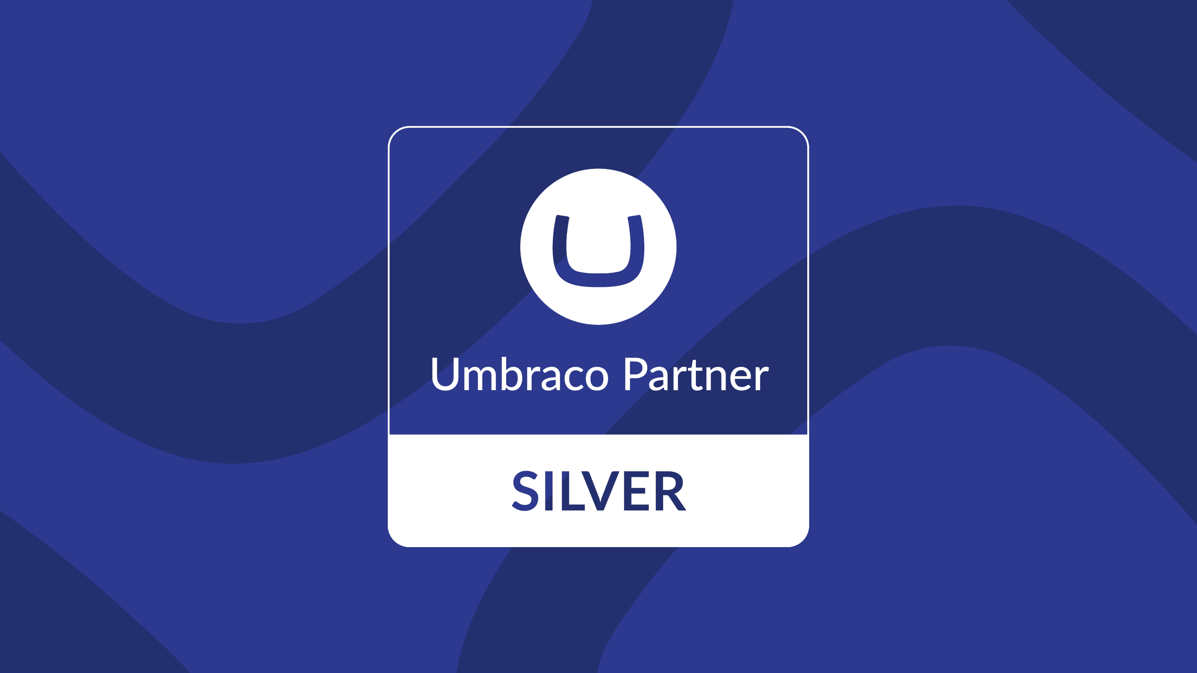 Temos Orgulho em Anunciar Que Somos Umbraco Silver Partner