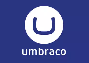 Why Umbraco CMS is the Ideal Choice for Enterprise Digital Projects